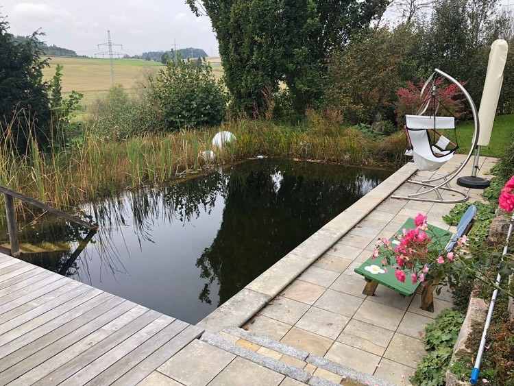 Der alte Schwimmteich vor der Renovierung mit Regenerationszone