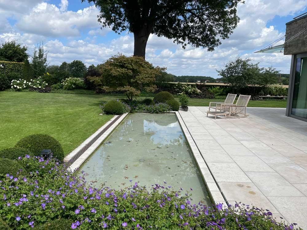 Alter Pool mit Liegebereich, Blumen und großem Baum