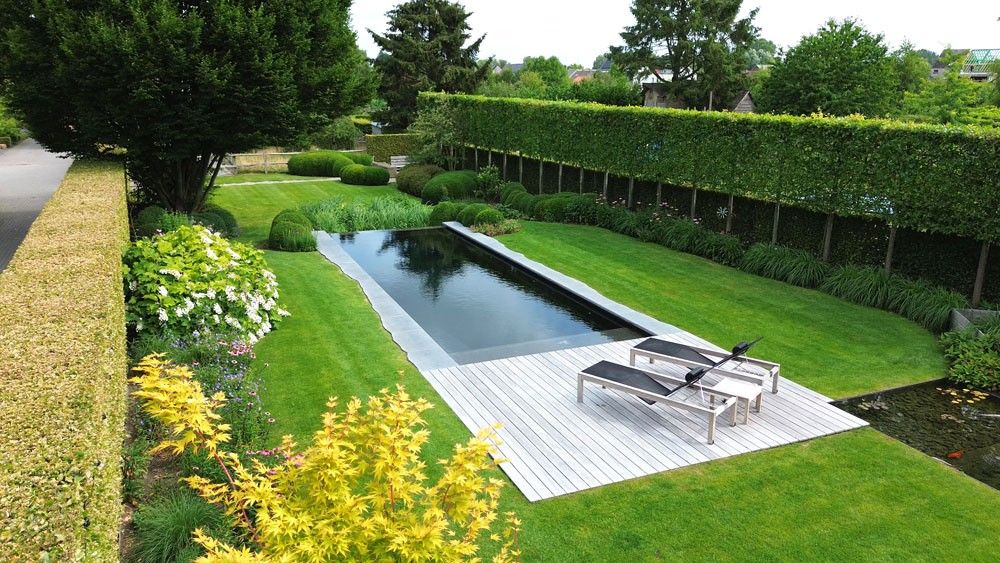 Der Biotop Design Award mit Bild des "Best Ager Living Pools"