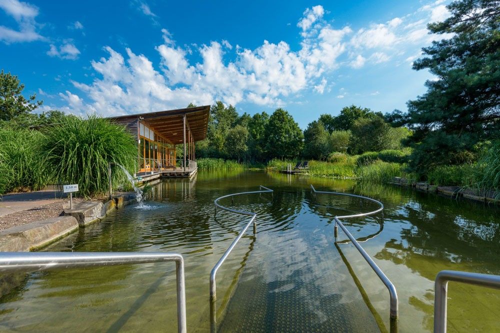 Der Biotop Design Award mit Bild des "Best Ager Swimming Pond"