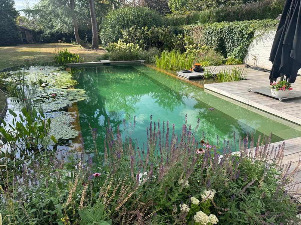 Der Biotop Design Award 2025 mit Bild Platz 3 in der Kategorie "die besten Umbauten und Sanierungen"