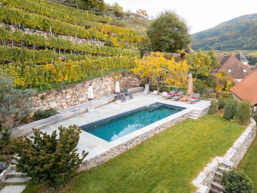 Ein klassischer Biotop Living Pool eingebettet in herbstliche Weinberge in Niederoesterreich