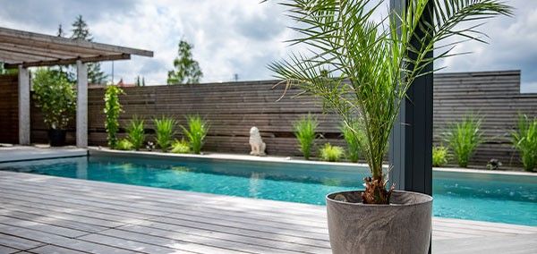 Umbau und Sanierung Living Pool ohne Chlor Ein Biotop Living Pool nach Umbau und Sanierung ganz ohne Chlor