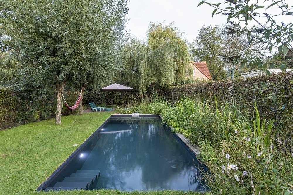 Naturpool im ruhigen Garten mit Weide, Liegewiese und Bepflanzung