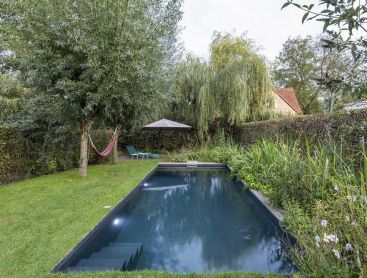Naturpool im ruhigen Garten mit Weide, Liegewiese und Bepflanzung