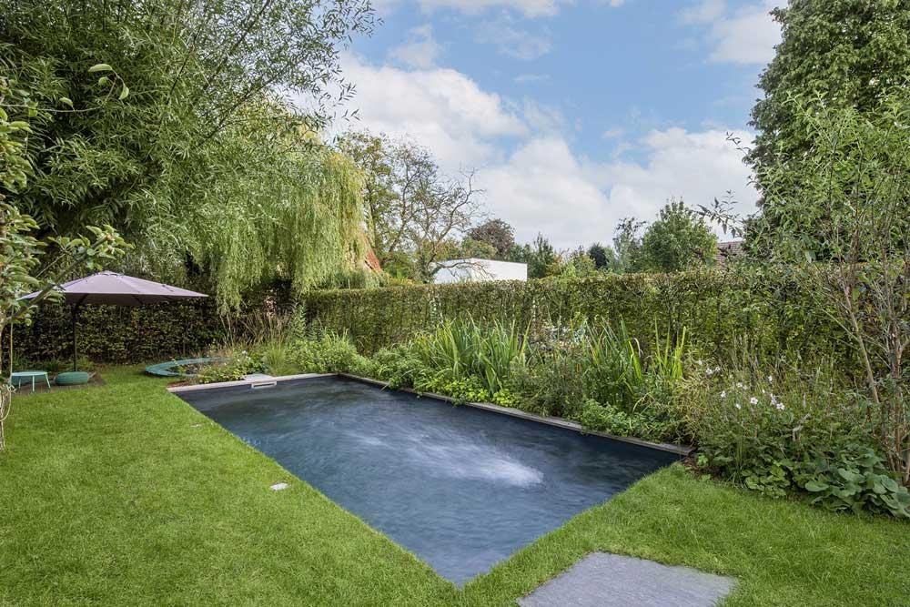 Naturpool mit bepflanzter Regenerationszone im grünen Garten
