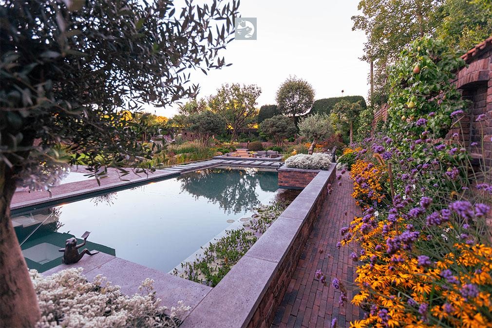 Naturpool mit Bluetenbeet und Gartenmauer im Abendlicht