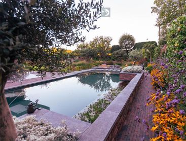 Naturpool mit Bluetenbeet und Gartenmauer im Abendlicht