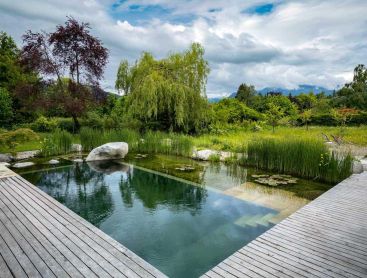 Naturpool mit Holzdeck und Bergblick im naturnahen Garten
