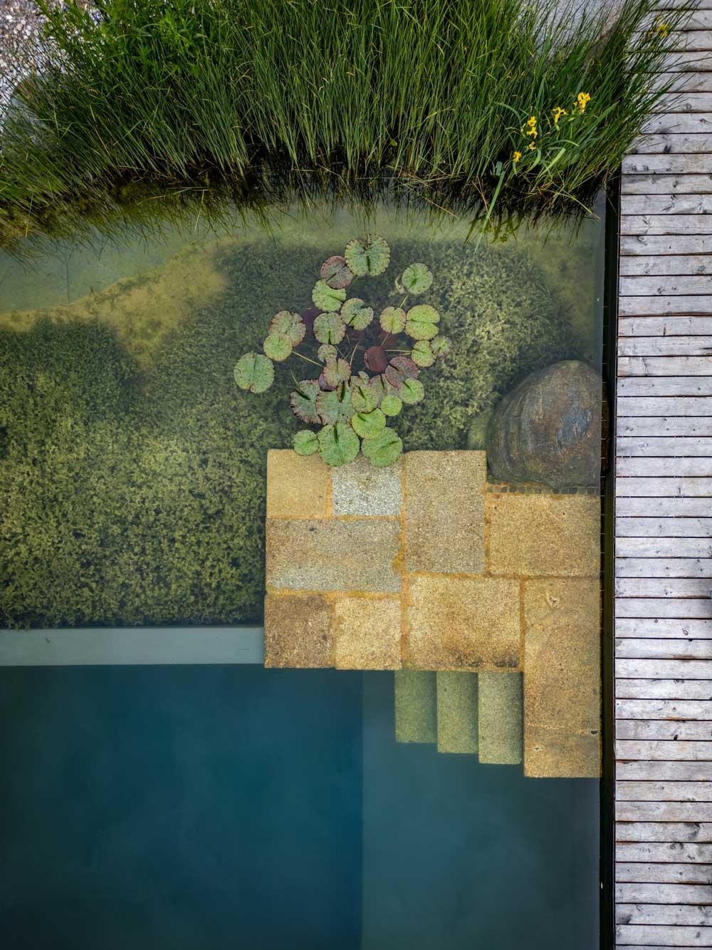 Detail von Naturpool mit Treppe und Regenerationszone