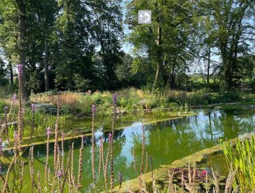 Naturnaher Biotop Schwimmteich mit üppiger Uferbepflanzung