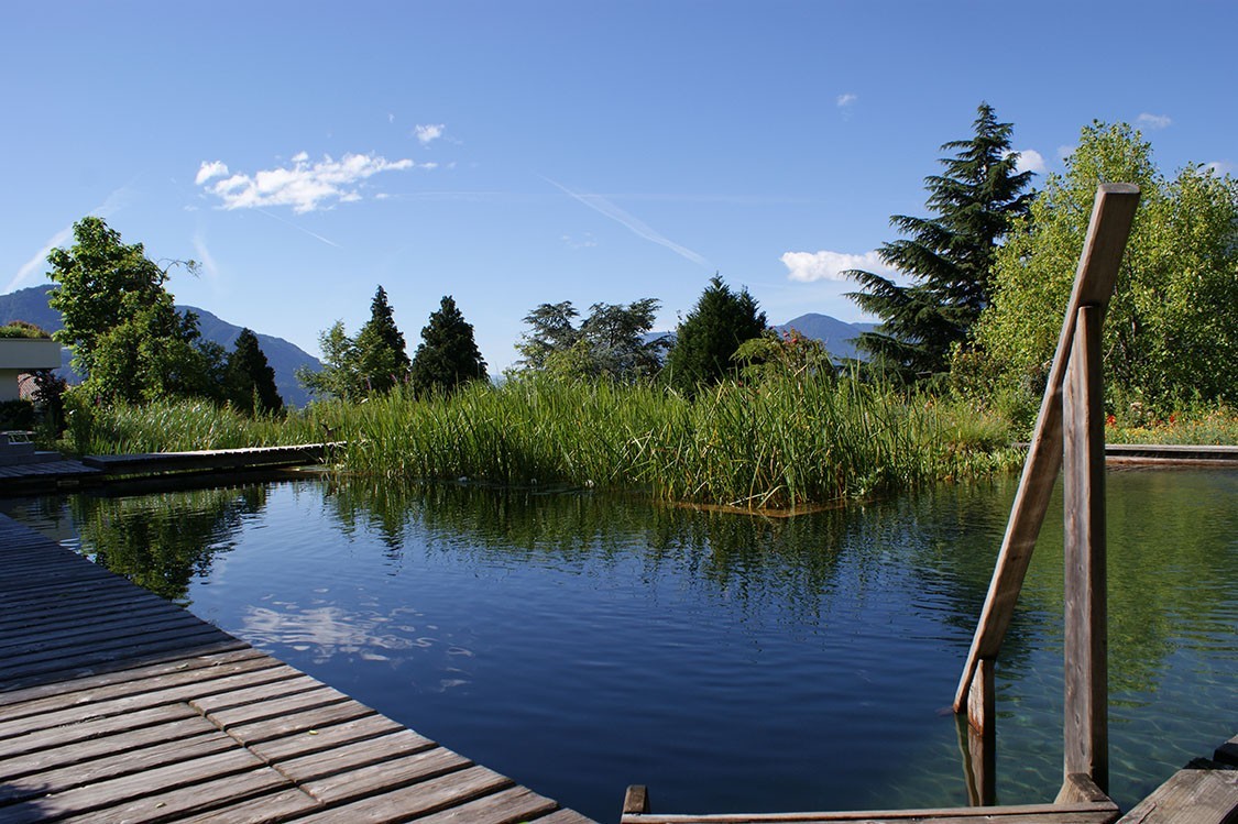 BIOTOP Schwimmteich in Südtiroler Hotel als Alleinstellungsmerkmal