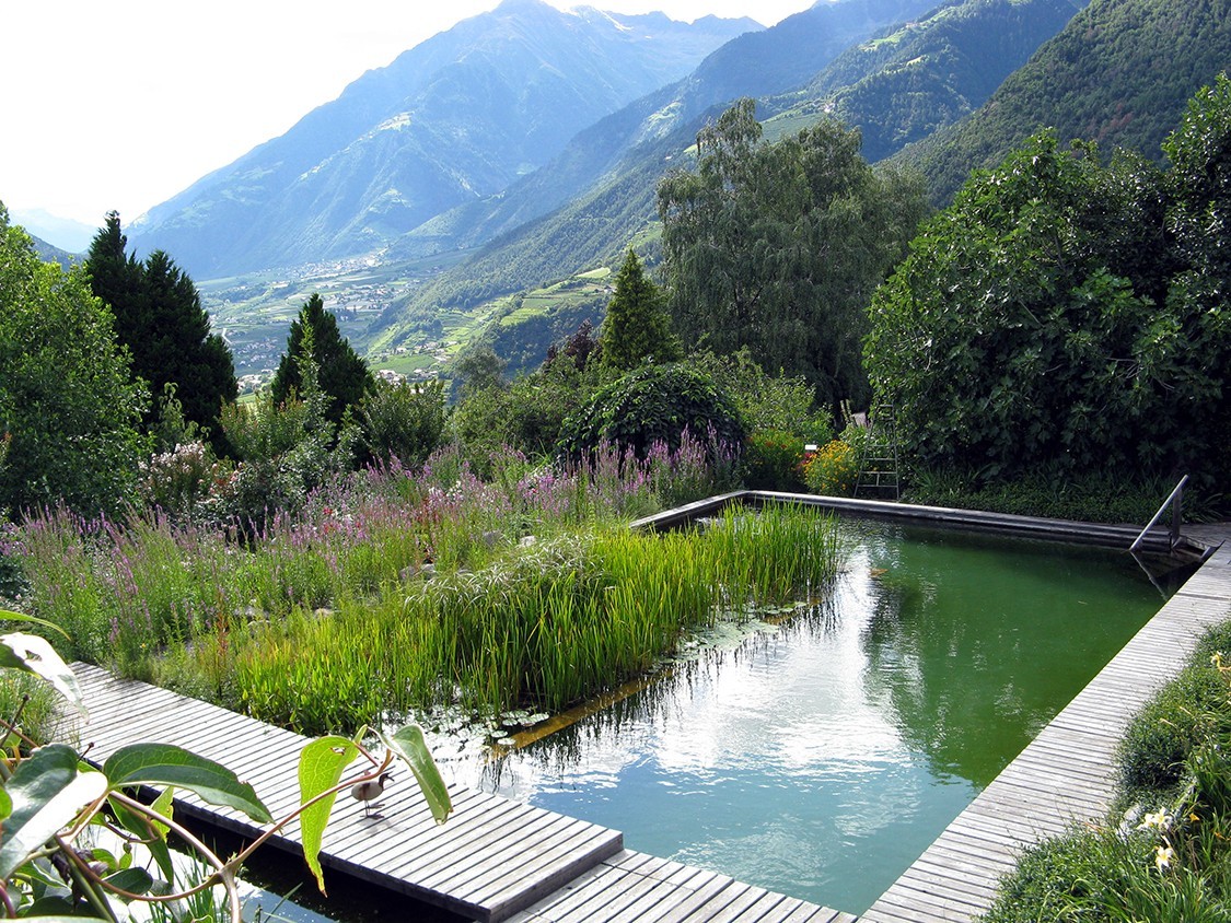 BIOTOP Schwimmteich in Südtiroler Hotel als Alleinstellungsmerkmal