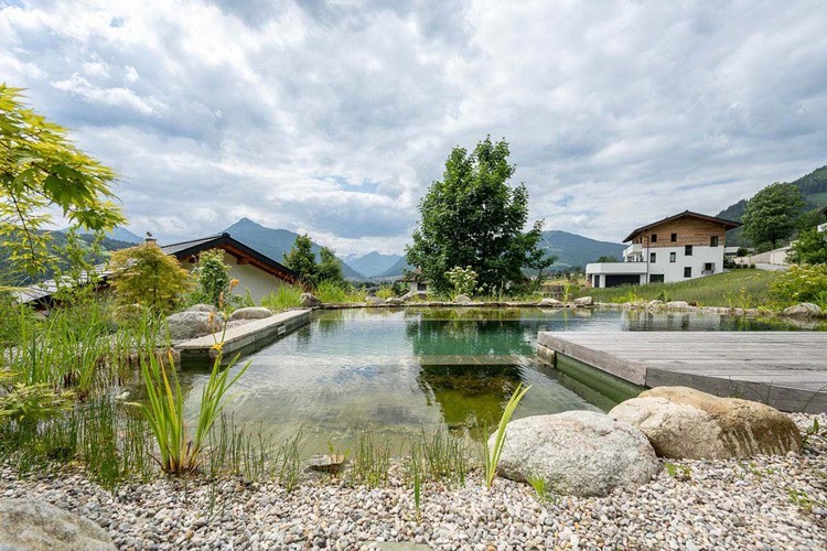 Ferienhaus in Oesterreich mit einem Naturpool in einer schoenen Landschaft eingebettet