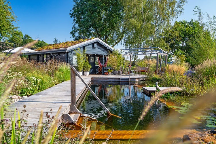 Holzhaus mit begruentem Dach und Schwimmteich in England