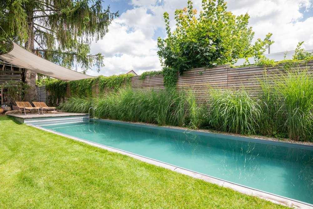 Ein Living Pool von Biotop im eigenen Garten umgeben von Rasen