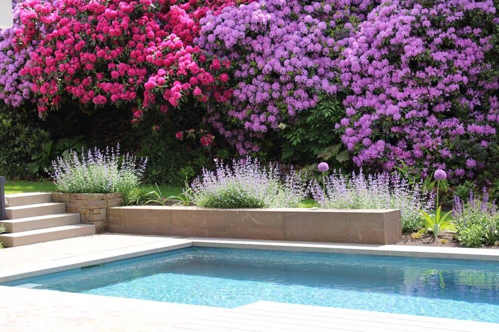 Naturpool mit bluehendem Garten