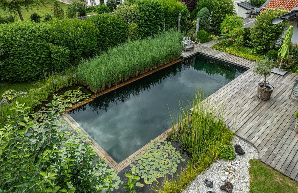 Naturpool mit Holzdeck und Pflanzenfilter von Biotop