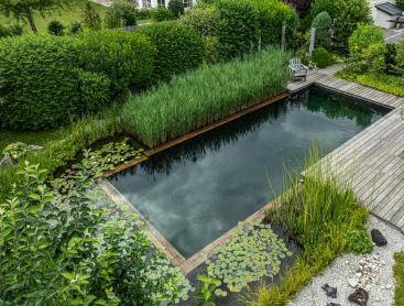 Naturpool mit Holzdeck und Pflanzenfilter von Biotop