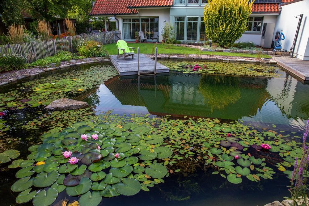 Naturpool mit Seerosen Holzsteg und Garten am Haus