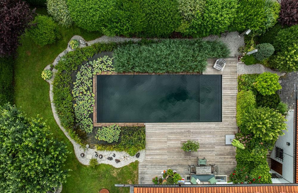Naturpool von oben mit Schwimmbereich und Seerose