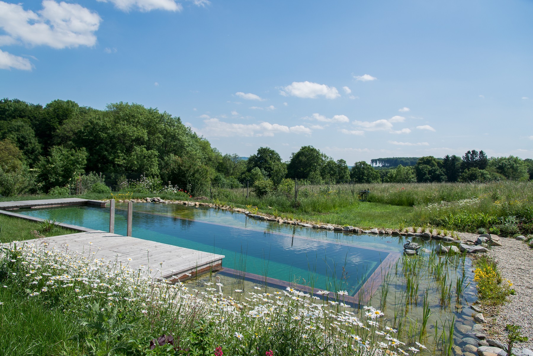 Natüricher Swimming-Teich mit Blick in den Wienerwald