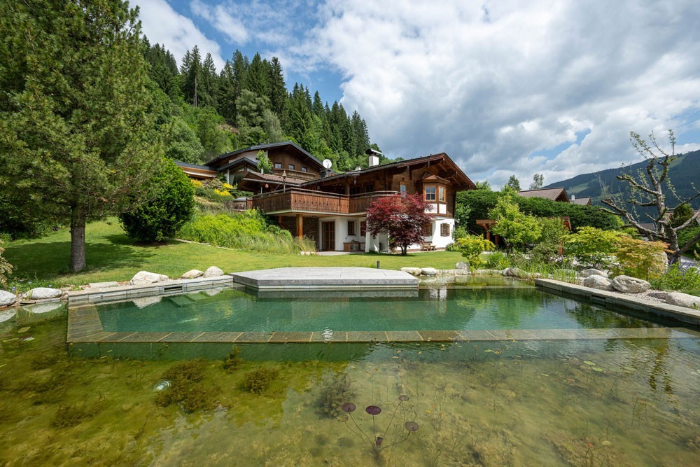 Nahaufnahme des Regenerationsbereichs des Biotop Schwimmteichs