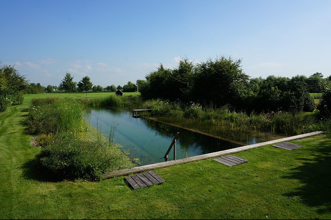 Schwimmteich in Belgien in klarem und einfachem Design
