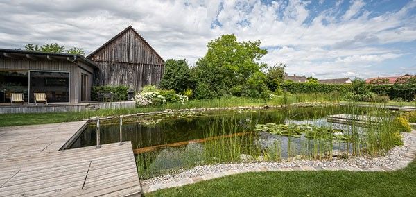 Swimming Pond im Garten von Biotop mit Holzdeck und Pflanzen Schwimmteich mit Holzdeck und Naturbepflanzung im Garten ein nachhaltiger Biotop Swimming Pond