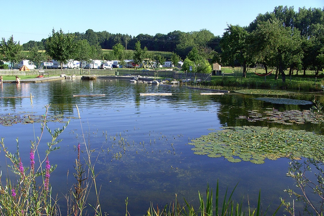 Schwimmteich am Bauernhof in Deutschland