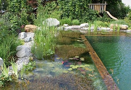 BIOTOP Schwimmteichplanung So viel Natur wie möglich!
