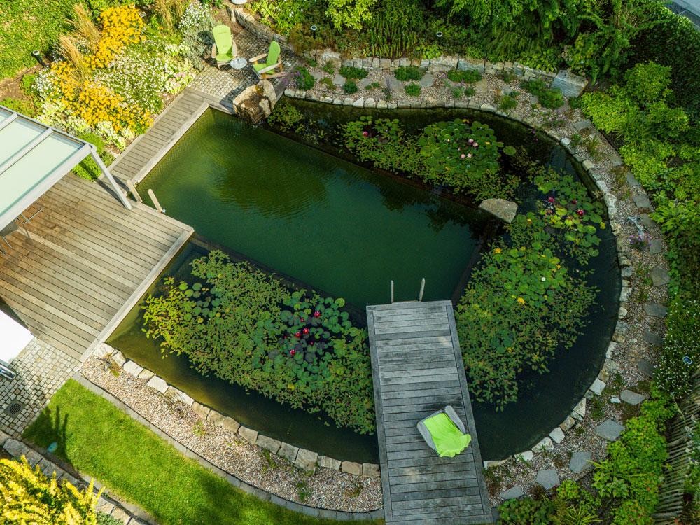 Schwimmteich von oben mit Holzdeck Seerosen und Naturgarten