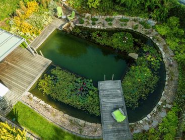 Schwimmteich von oben mit Holzdeck Seerosen und Naturgarten