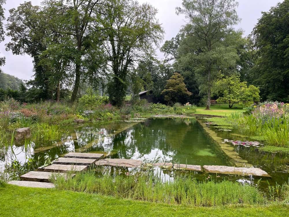 Schwimmteich mit Naturufer, Wasserpflanzen und Steinsteg im Garten