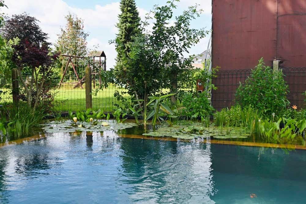 Schwimmteich mit Uferpflanzen und natürlicher Filterzone