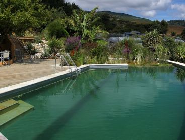 Schwimmteich in Neuseeland mit atemberaubender Aussicht