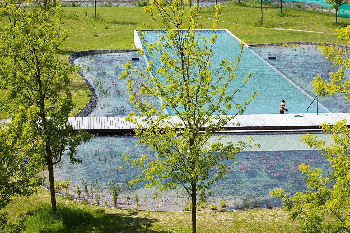 Schwimmteich in den Niederlanden in Wohnanlage