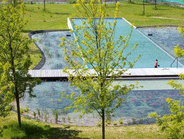 Schwimmteich in den Niederlanden in Wohnanlage