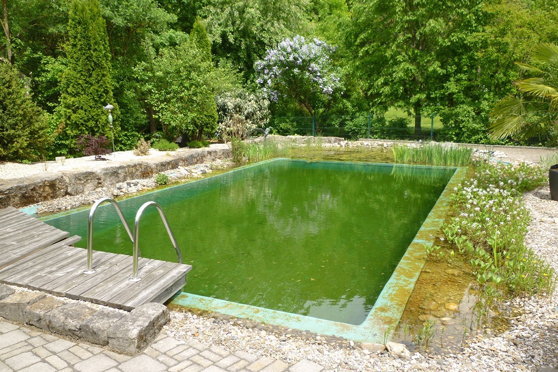 Schwimmteich Sanierung in Deutschland zu Bio-Pool