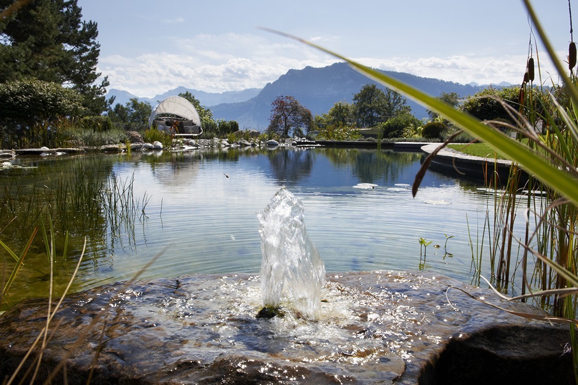 Schwimmteich in der Schweiz mit harmonischem Gartenkonzept