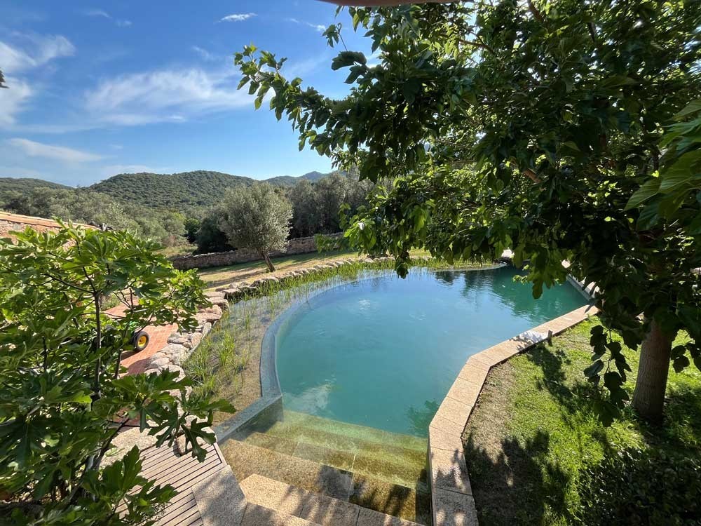 Schwimmteich mit Treppeneinstieg und Blick ins mediterrane Gruen