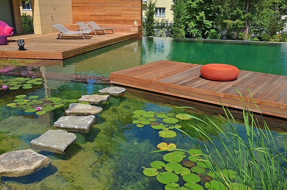 Schwimmteich in Wien in elegantem Design