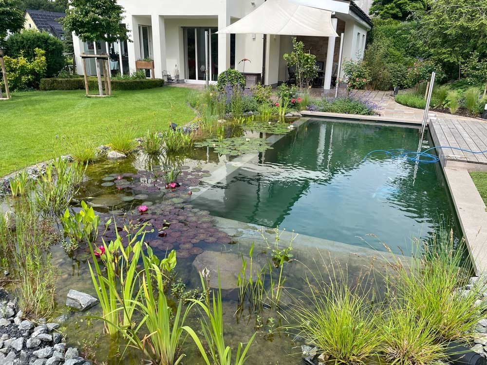 Swimming Pond mit Regenerationszone und Holzsteg im Garten am Haus